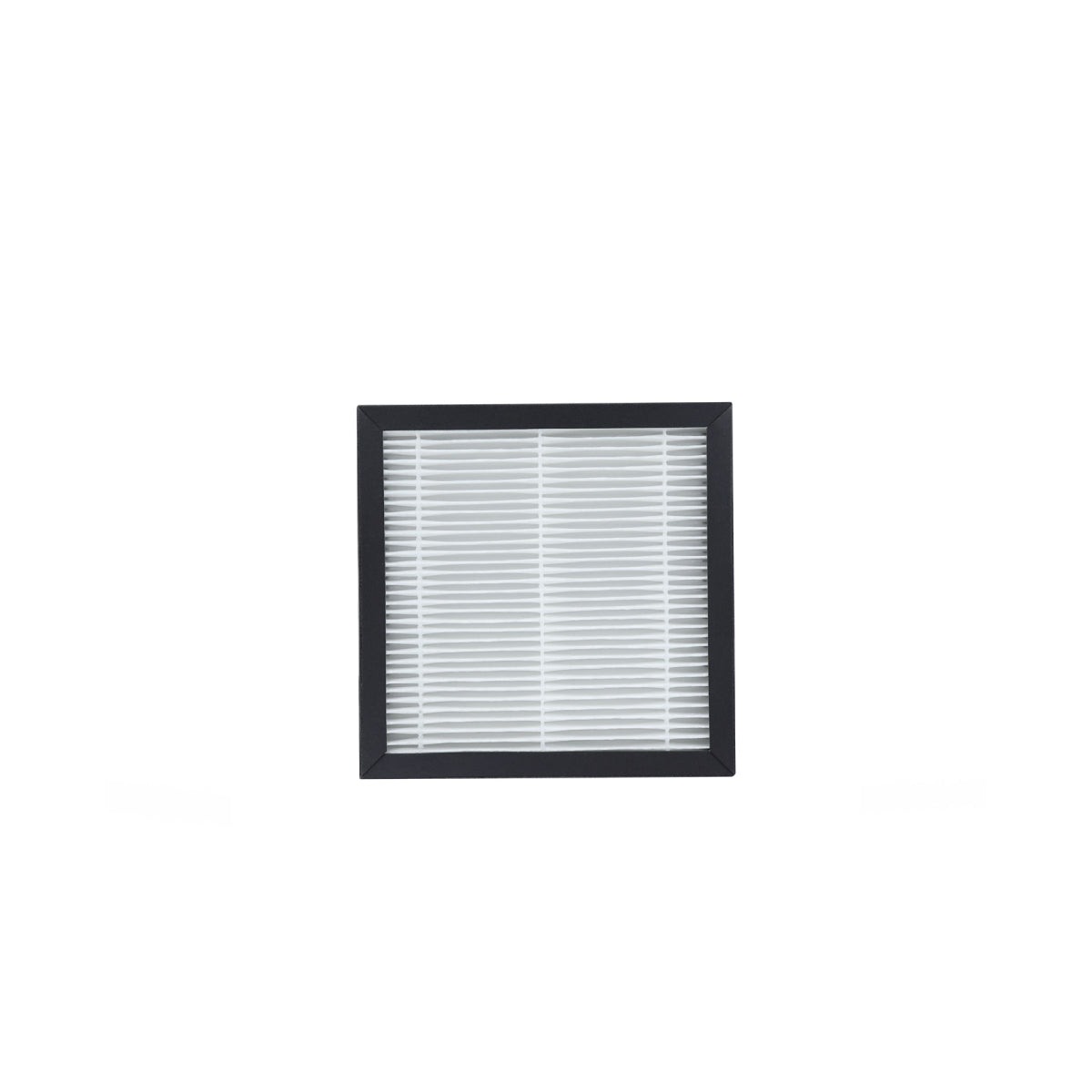 REPLACEMENT FILTER (2 IN 1 AIR PURIFIER & DEHUMIDIFIER)