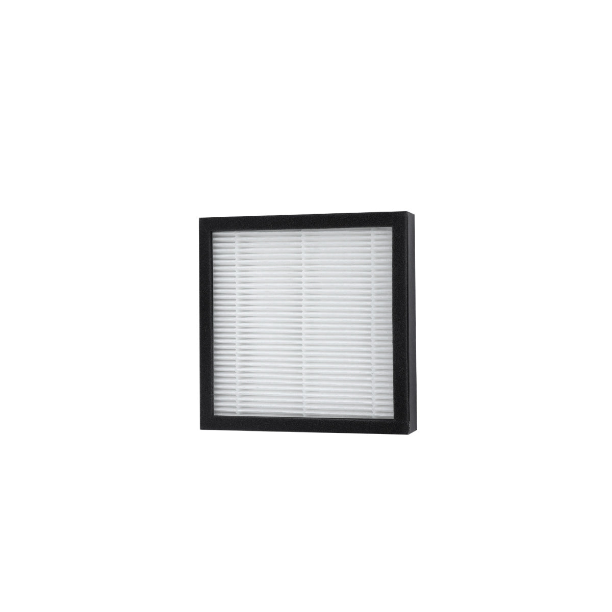 REPLACEMENT FILTER (2 IN 1 AIR PURIFIER & DEHUMIDIFIER)