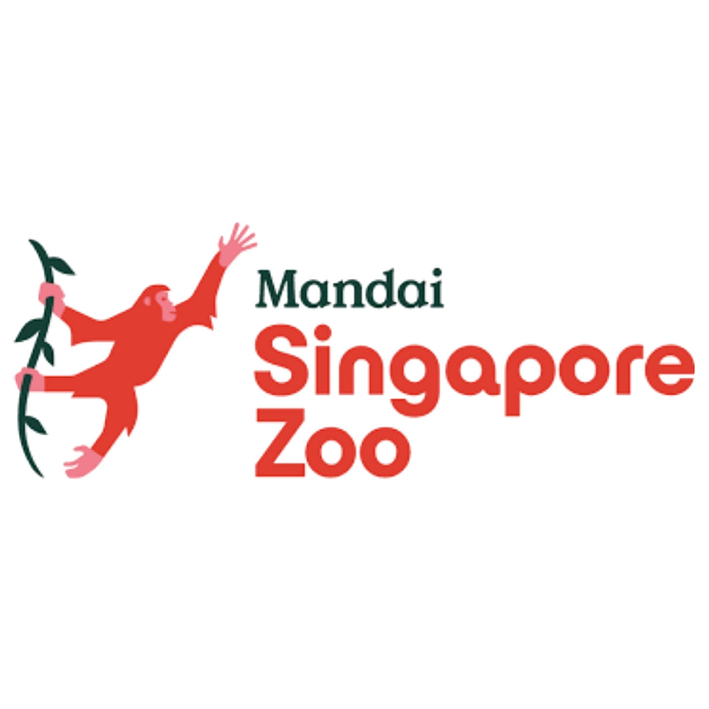 carousel logo 15