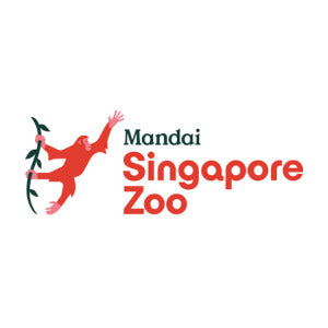 logo 15